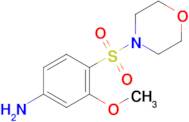 3-Methoxy-4-(morpholinosulfonyl)aniline