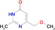 6-(methoxymethyl)-2-methyl-3,4-dihydropyrimidin-4-one