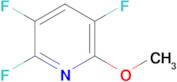 2,3,5-Trifluoro-6-methoxypyridine