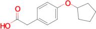 2-(4-(Cyclopentyloxy)phenyl)acetic acid