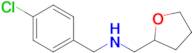 N-(4-chlorobenzyl)-1-(tetrahydrofuran-2-yl)methanamine