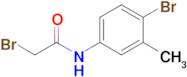 2-Bromo-N-(4-bromo-3-methylphenyl)acetamide