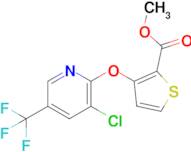 Methyl 3-((3-chloro-5-(trifluoromethyl)pyridin-2-yl)oxy)thiophene-2-carboxylate