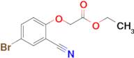 Ethyl 2-(4-bromo-2-cyanophenoxy)acetate