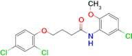 N-(5-chloro-2-methoxyphenyl)-4-(2,4-dichlorophenoxy)butanamide