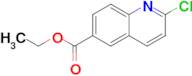 Ethyl 2-chloroquinoline-6-carboxylate