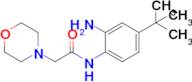 N-(2-amino-4-(tert-butyl)phenyl)-2-morpholinoacetamide