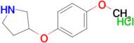 3-(4-Methoxyphenoxy)pyrrolidine hydrochloride