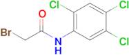 2-Bromo-N-(2,4,5-trichlorophenyl)acetamide