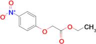 Ethyl 2-(4-nitrophenoxy)acetate