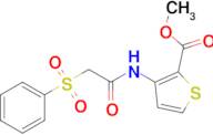 Methyl 3-(2-(phenylsulfonyl)acetamido)thiophene-2-carboxylate