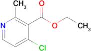 Ethyl 4-chloro-2-methylnicotinate