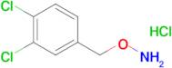 O-(3,4-dichlorobenzyl)hydroxylamine hydrochloride