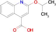 2-Isopropoxyquinoline-4-carboxylic acid