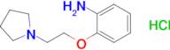 2-(2-(Pyrrolidin-1-yl)ethoxy)aniline hydrochloride