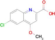 6-Chloro-4-methoxyquinoline-2-carboxylic acid