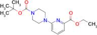 Tert-butyl 4-(6-(ethoxycarbonyl)pyridin-2-yl)piperazine-1-carboxylate