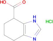 4,5,6,7-Tetrahydro-1H-benzo[d]imidazole-7-carboxylic acid hydrochloride