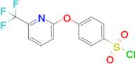 4-((6-(Trifluoromethyl)pyridin-2-yl)oxy)benzenesulfonyl chloride