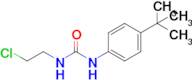 1-(4-(Tert-butyl)phenyl)-3-(2-chloroethyl)urea