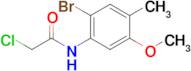 N-(2-bromo-5-methoxy-4-methylphenyl)-2-chloroacetamide