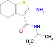 2-Amino-N-isopropyl-4,5,6,7-tetrahydrobenzo[b]thiophene-3-carboxamide