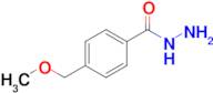 4-(Methoxymethyl)benzohydrazide