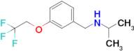 N-(3-(2,2,2-trifluoroethoxy)benzyl)propan-2-amine