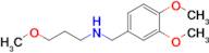 N-(3,4-dimethoxybenzyl)-3-methoxypropan-1-amine