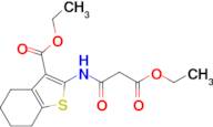 Ethyl 2-(3-ethoxy-3-oxopropanamido)-4,5,6,7-tetrahydrobenzo[b]thiophene-3-carboxylate