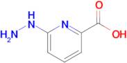 6-Hydrazinylpicolinic acid