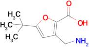 3-(Aminomethyl)-5-(tert-butyl)furan-2-carboxylic acid