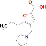 5-Propyl-4-(pyrrolidin-1-ylmethyl)furan-2-carboxylic acid