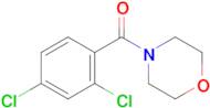 (2,4-Dichlorophenyl)(morpholino)methanone