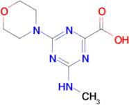 4-(Methylamino)-6-morpholino-1,3,5-triazine-2-carboxylic acid