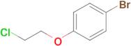 1-Bromo-4-(2-chloroethoxy)benzene