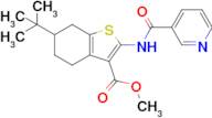 Methyl 6-(tert-butyl)-2-(nicotinamido)-4,5,6,7-tetrahydrobenzo[b]thiophene-3-carboxylate