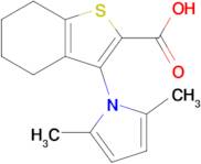 3-(2,5-Dimethyl-1H-pyrrol-1-yl)-4,5,6,7-tetrahydrobenzo[b]thiophene-2-carboxylic acid