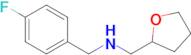 N-(4-fluorobenzyl)-1-(tetrahydrofuran-2-yl)methanamine