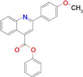 Phenyl 2-(4-methoxyphenyl)quinoline-4-carboxylate