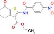 Ethyl 2-(4-nitrobenzamido)-7-oxo-4,5,6,7-tetrahydrobenzo[b]thiophene-3-carboxylate