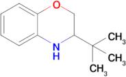 3-(Tert-butyl)-3,4-dihydro-2H-benzo[b][1,4]oxazine