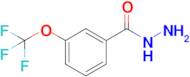 3-(Trifluoromethoxy)benzohydrazide