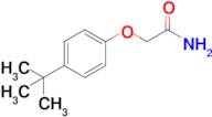 2-(4-(Tert-butyl)phenoxy)acetamide