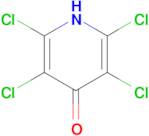 2,3,5,6-tetrachloro-1,4-dihydropyridin-4-one