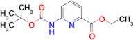 Ethyl 6-((tert-butoxycarbonyl)amino)picolinate