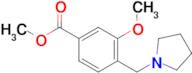 Methyl 3-methoxy-4-(pyrrolidin-1-ylmethyl)benzoate