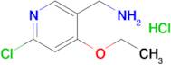 (6-Chloro-4-ethoxypyridin-3-yl)methanamine hydrochloride