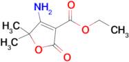 Ethyl 4-amino-5,5-dimethyl-2-oxo-2,5-dihydrofuran-3-carboxylate