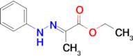 Ethyl (E)-2-(2-phenylhydrazono)propanoate